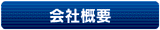 ЊTv
