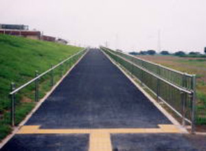 �ꋉ�͐�r��X�e�����X�����̎ʐ^